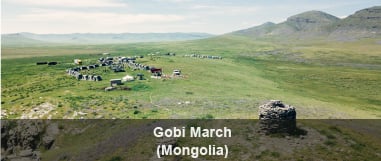 Gobi March