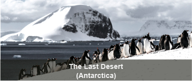 The Last Desert