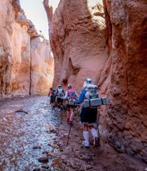 Atacama Crossing (Chile) 2022