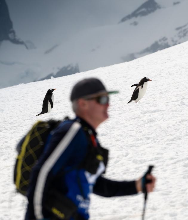 The Last Desert (Antarctica) 2026