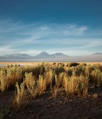 Atacama Crossing (Chile) 2028