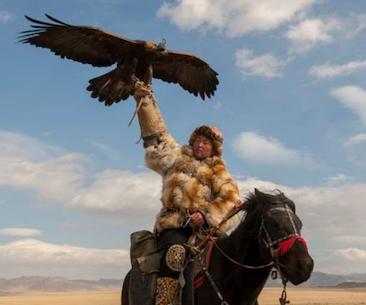 Experience Mongolia!
