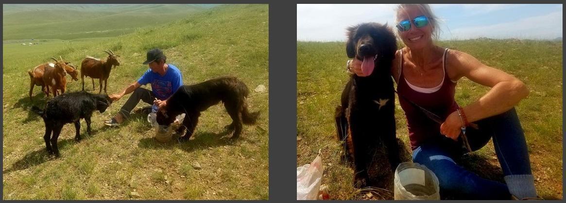 Community Challenge: Mongolian Bankhar Dog Project