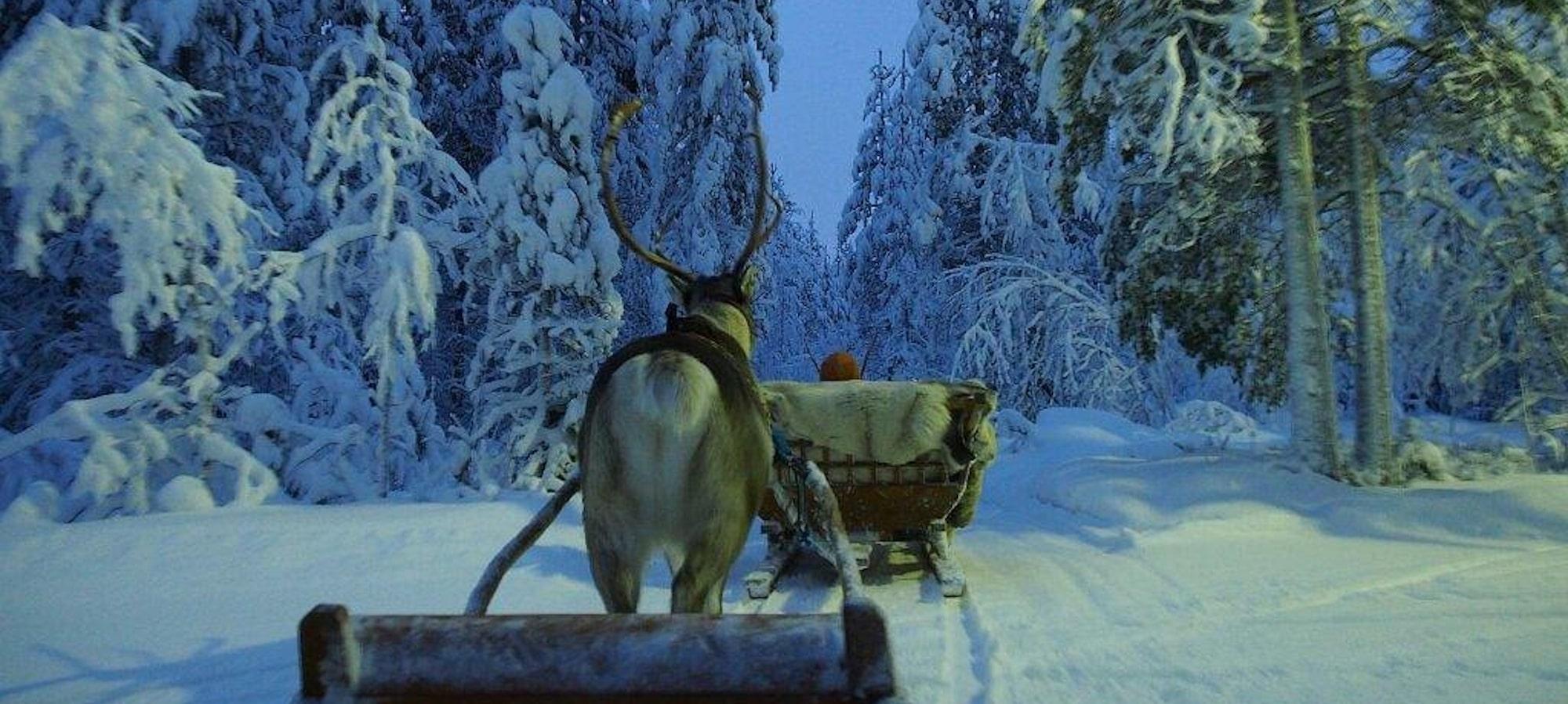 How Rovaniemi Became the Official Town of Santa Claus