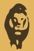 Community Challenge: Desert Lion Conservation