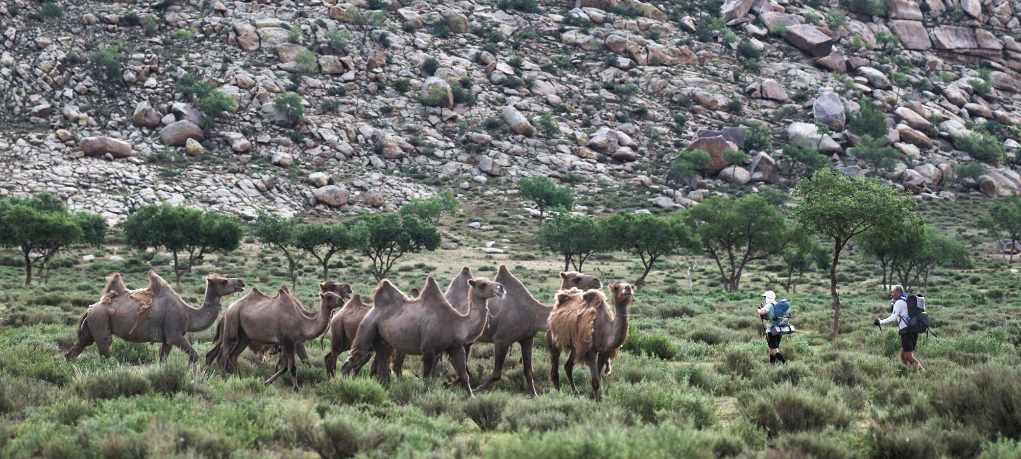 I’ve done a RacingThePlanet event before – so how is The Gobi March different… and how is it the same?