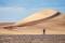 Why Do People Choose to Run 250km in the Desert