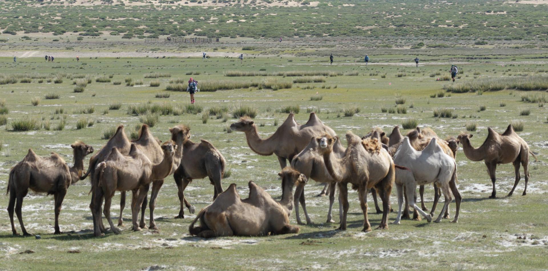 Mongolia