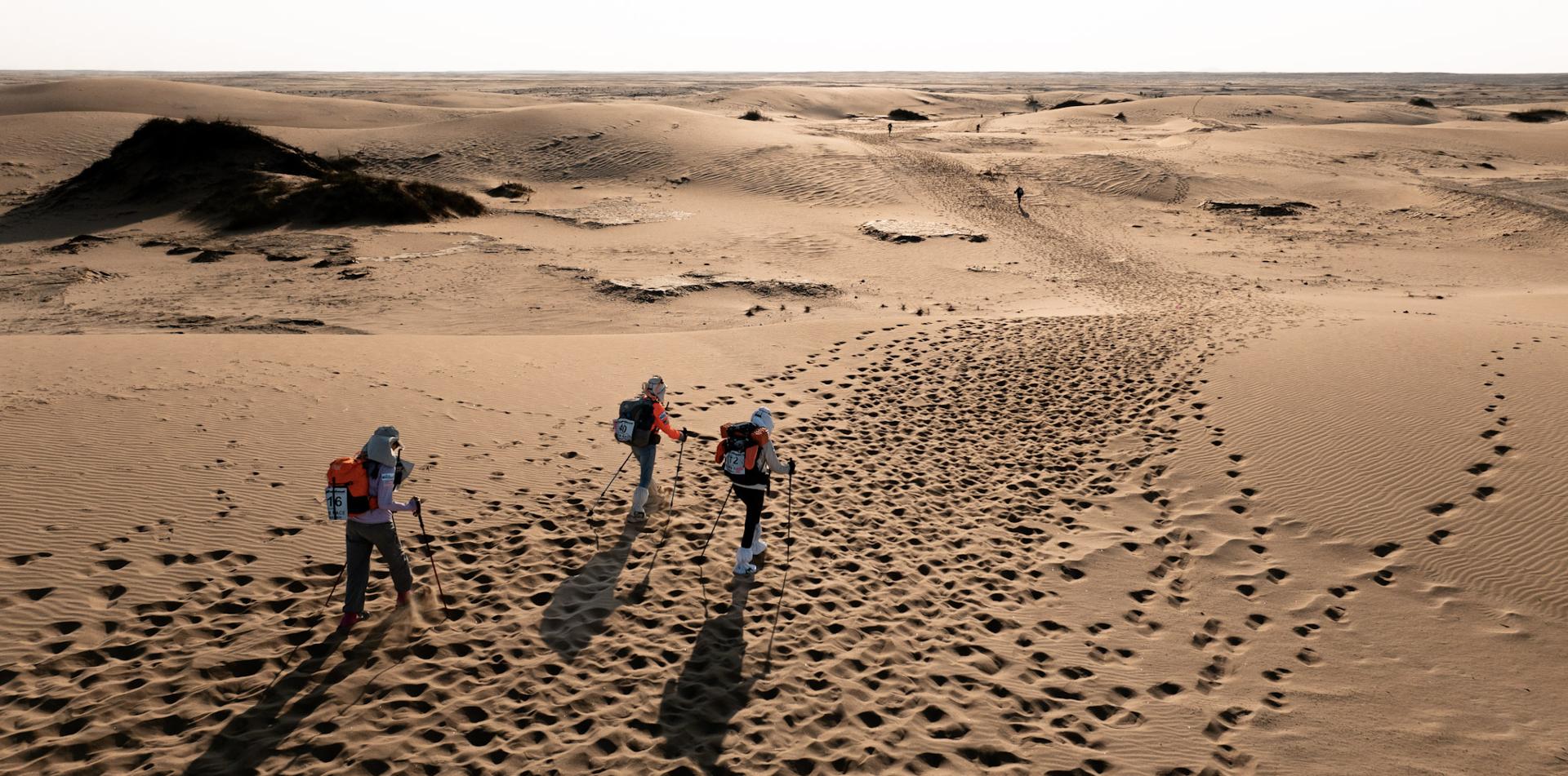 Namib Race