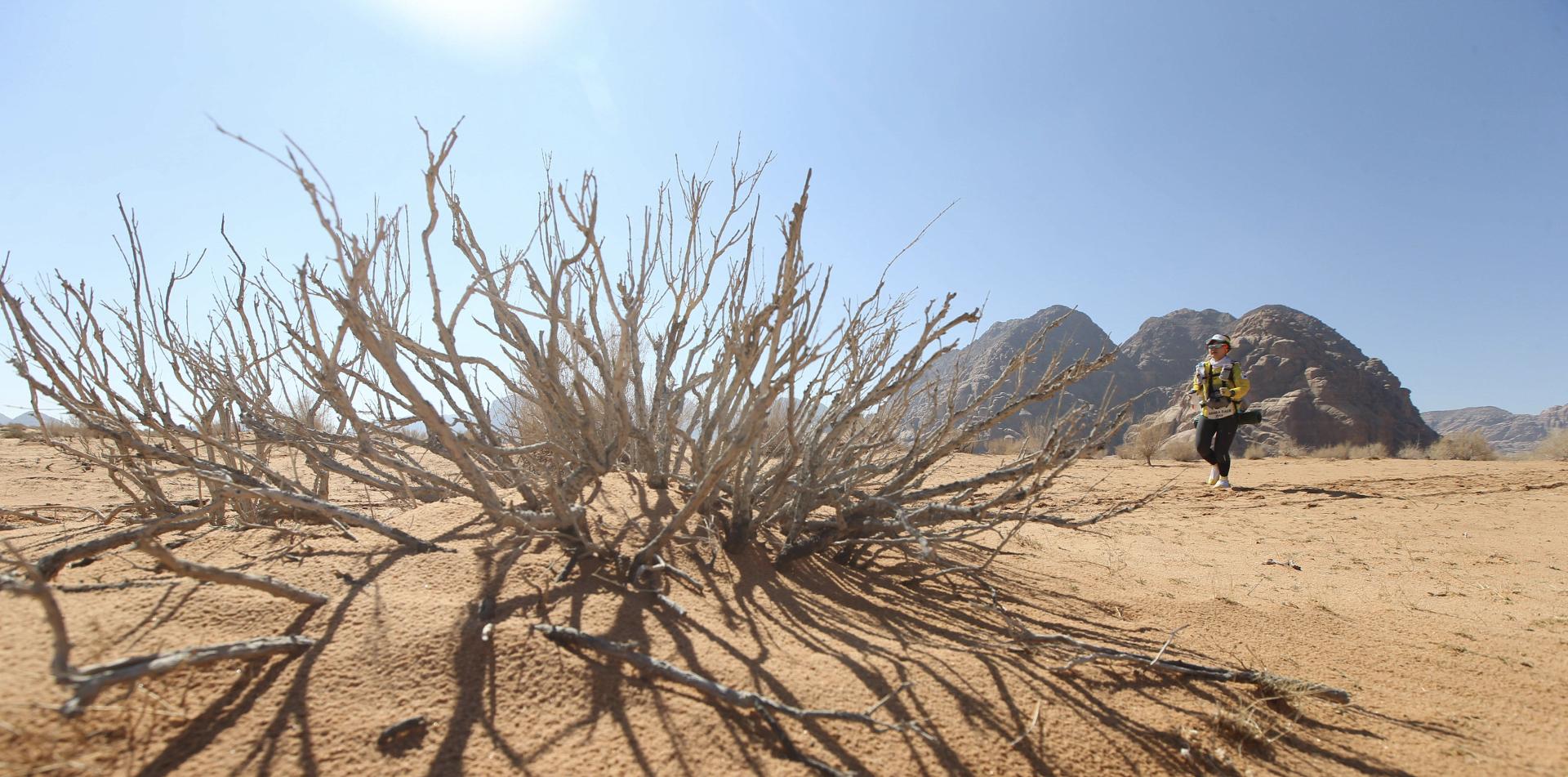 
RACINGTHEPLANET: The 20-Year Race
 250km / 155 mile, 6-Stage Ultramarathon
5 - 11 November 2023
