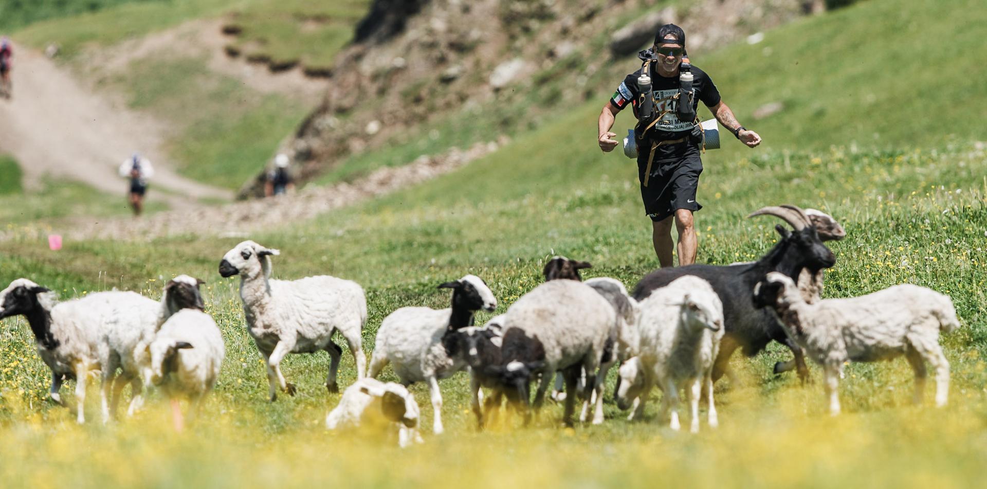 
GOBI MARCH (MONGOLIA)  250 KM / 155-MILE, 6-STAGE ULTRAMARATHON
ULTRALITE (MONGOLIA)
21-27 June 2026
