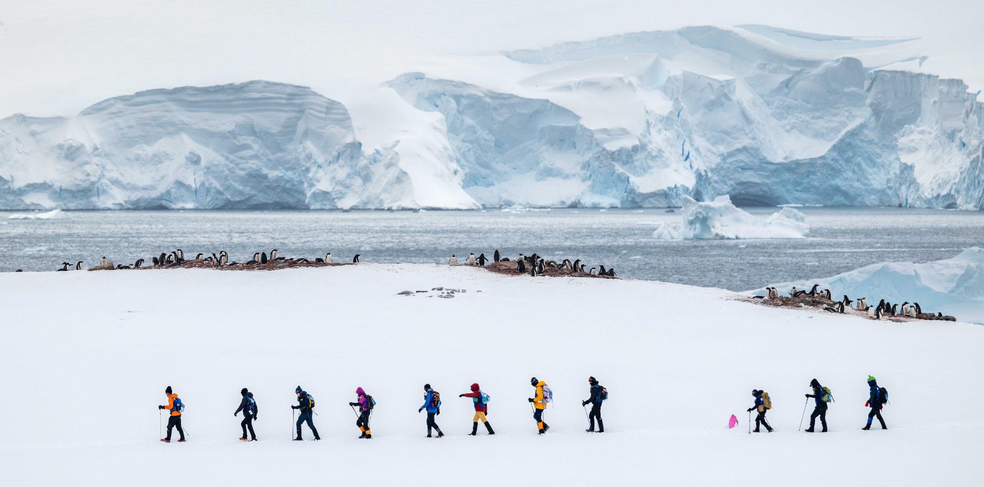 
THE LAST DESERT (ANTARCTICA) ANTARCTICA'S ONLY MULTI-STAGE FOOTRACE
13 November 2026
