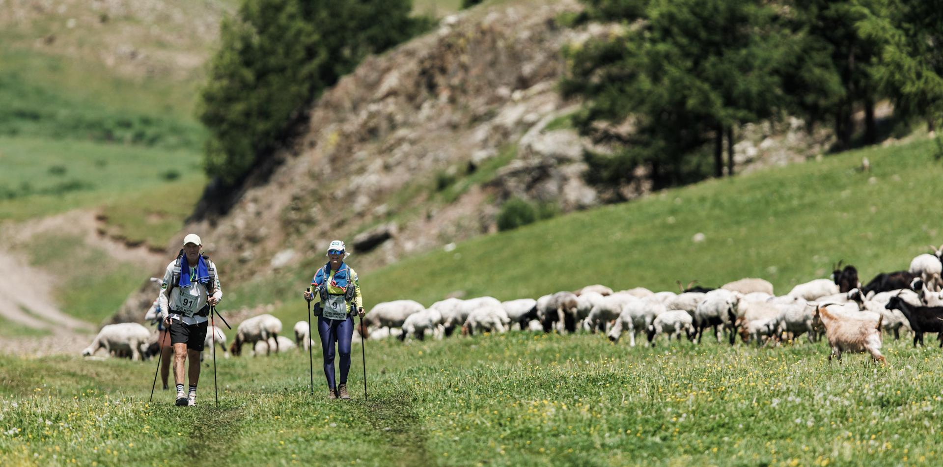 
GOBI MARCH (MONGOLIA)  250 KM / 155-MILE, 6-STAGE ULTRAMARATHON
21-27 June 2026
