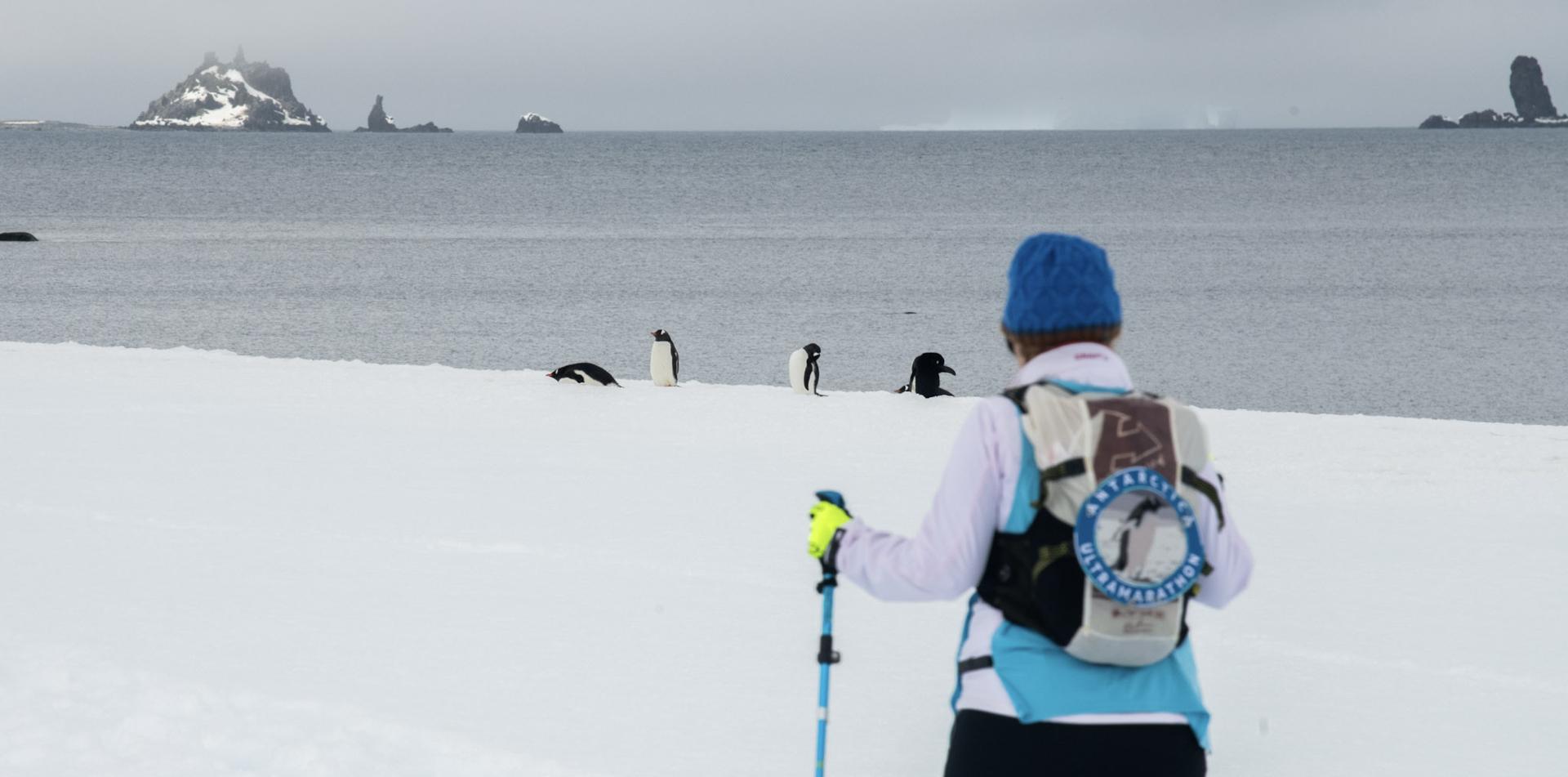
ANTARCTICA ULTRAMARATHON
13 November 2026
