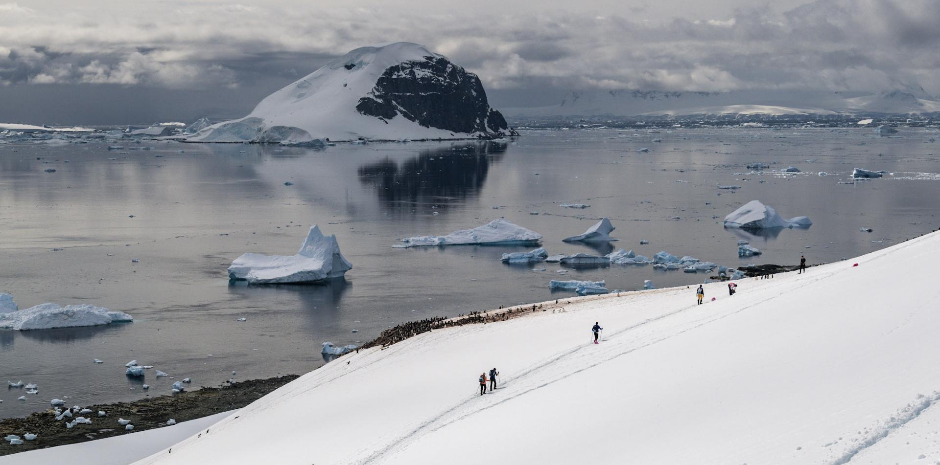 
THE LAST DESERT (ANTARCTICA) ANTARCTICA'S ONLY MULTI-STAGE FOOTRACE
ANTARCTICA ULTRAMARATHON
13 November 2026
