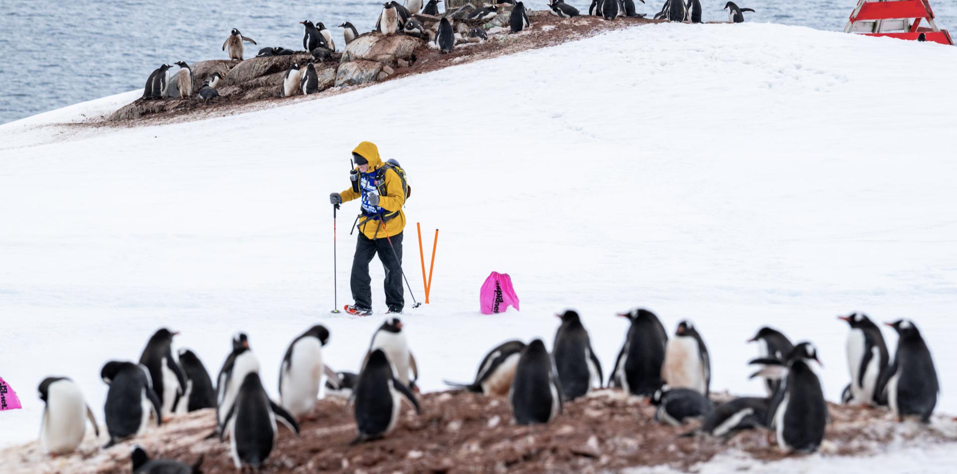 
THE LAST DESERT (ANTARCTICA) ANTARCTICA'S ONLY MULTI-STAGE FOOTRACE
13 November 2026
