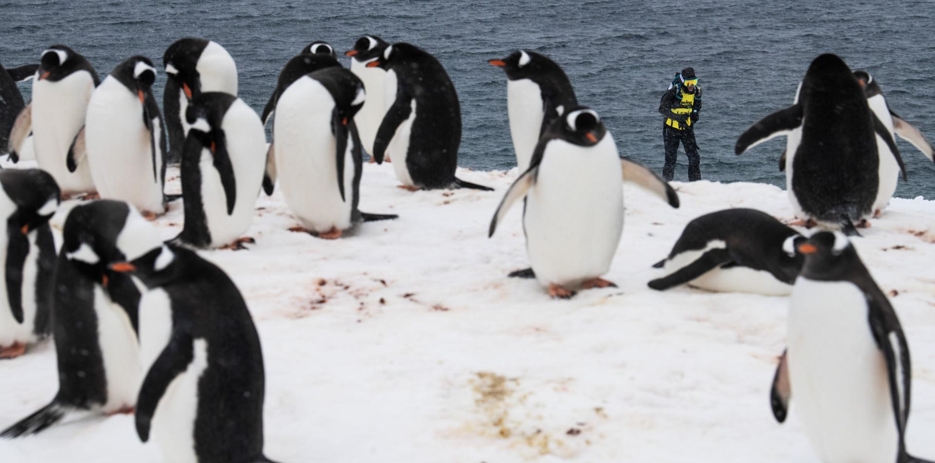 
THE LAST DESERT (ANTARCTICA) ANTARCTICA'S ONLY MULTI-STAGE FOOTRACE
ANTARCTICA ULTRAMARATHON
13 November 2026
