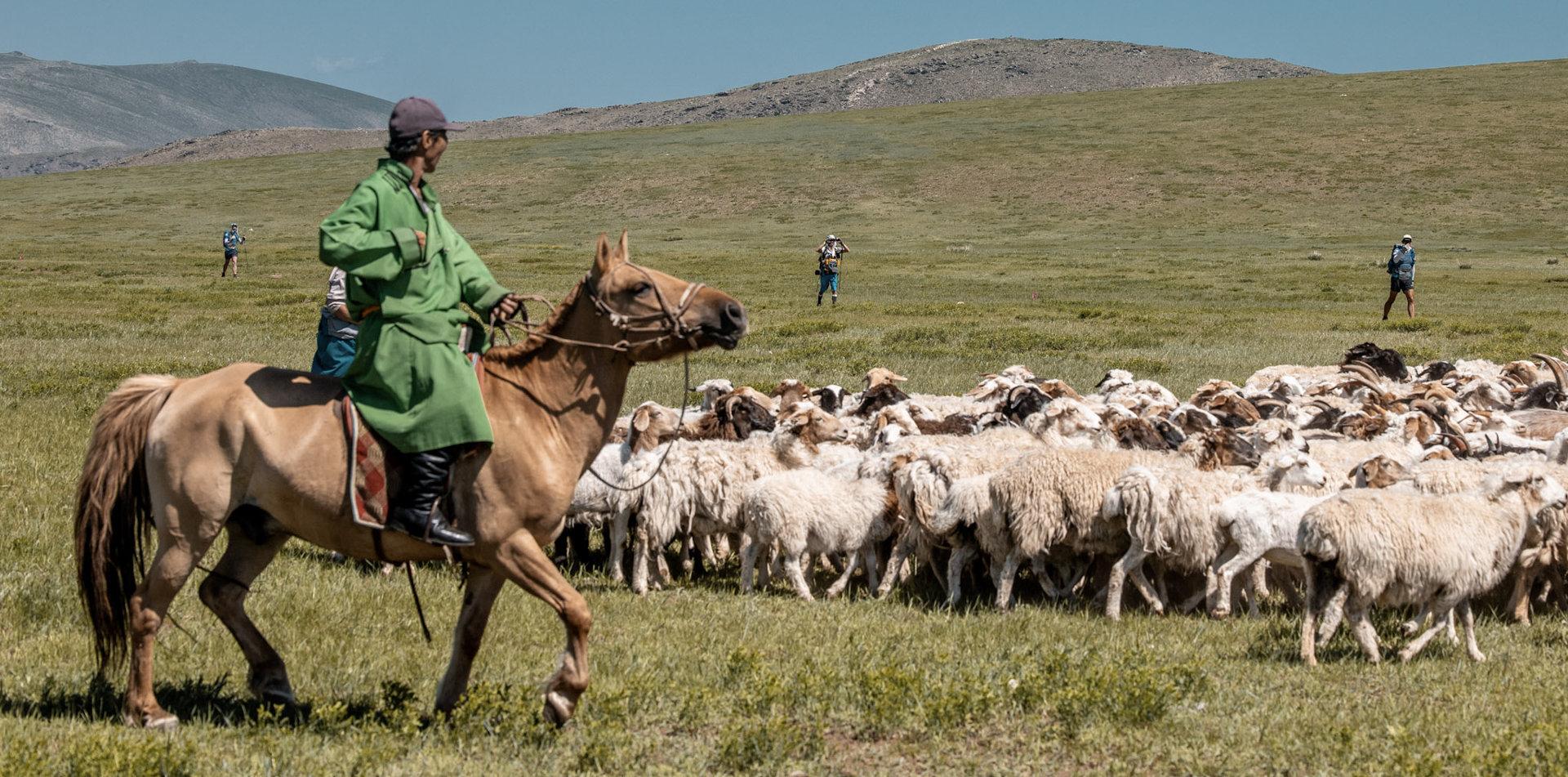 
GOBI MARCH (MONGOLIA)  250 KM / 155-MILE, 6-STAGE ULTRAMARATHON
ULTRALITE (MONGOLIA)
21-27 June 2026
