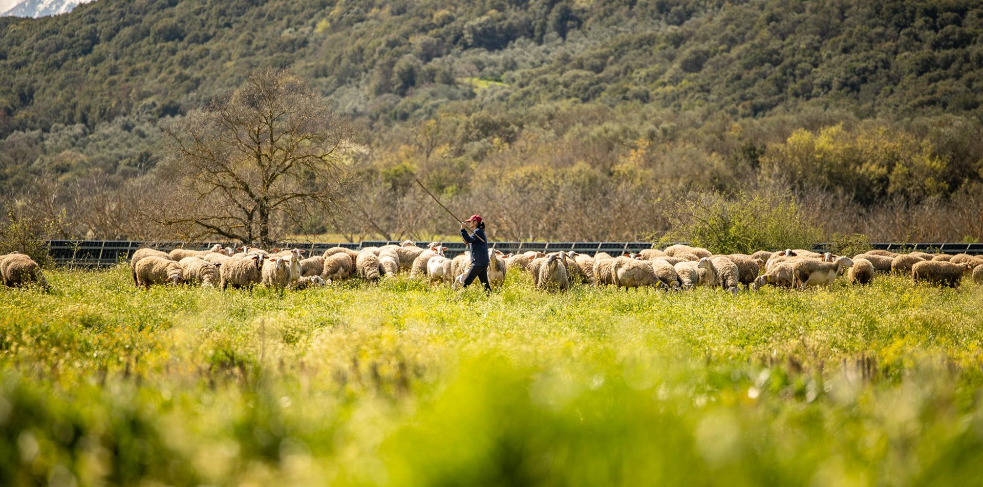 
RACINGTHEPLANET: GREECE 2025  250 KM / 155-MILE, 6-STAGE ULTRAMARATHON
28 September - 4 October 2025
