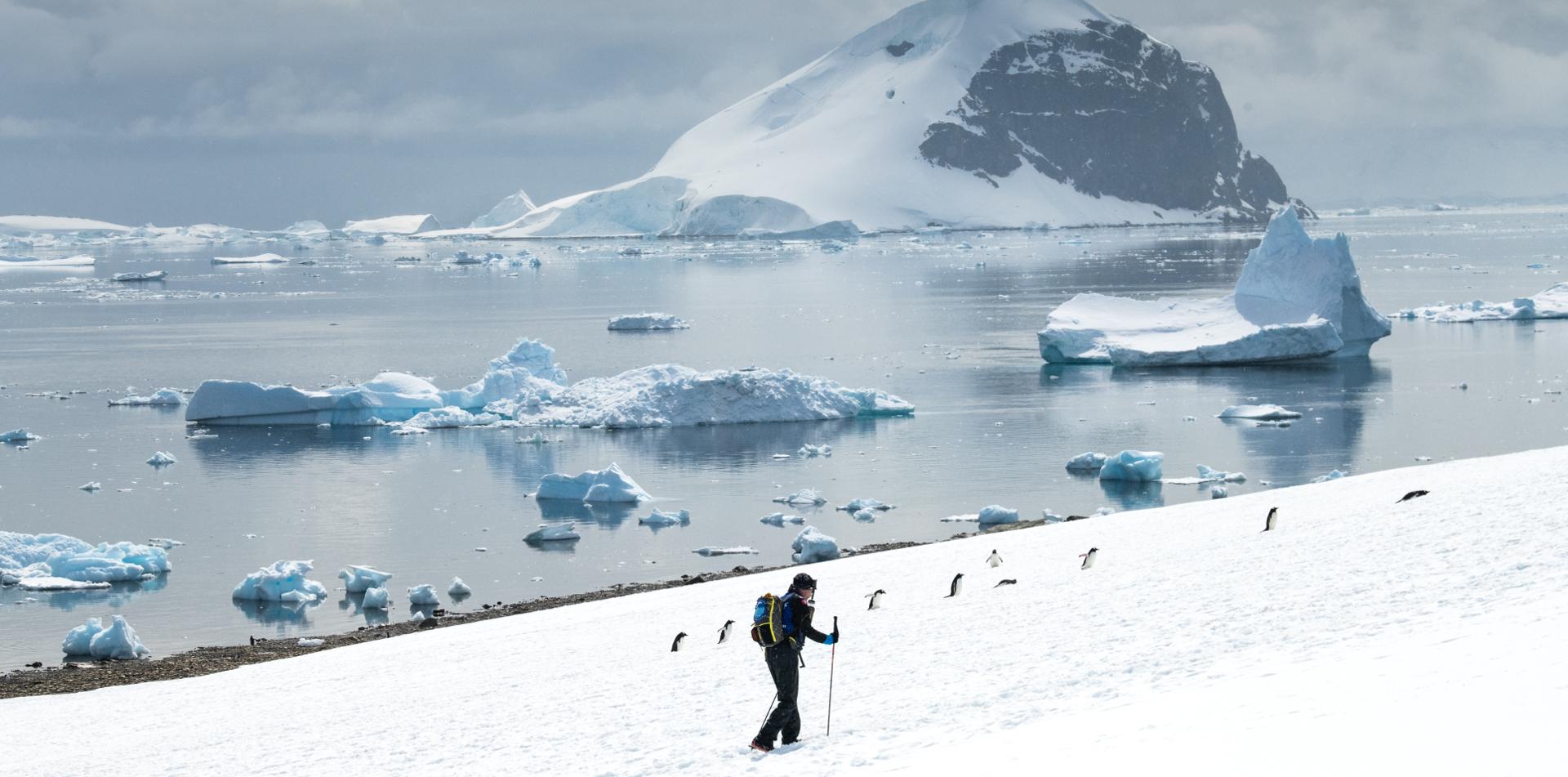 
THE LAST DESERT (ANTARCTICA) ANTARCTICA'S ONLY MULTI-STAGE FOOTRACE
ANTARCTICA ULTRAMARATHON
ULTRALITE (ANTARCTICA)
13 November 2026
