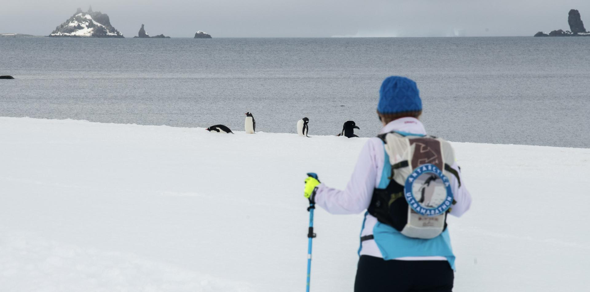 
ANTARCTICA ULTRAMARATHON
13 November 2026
