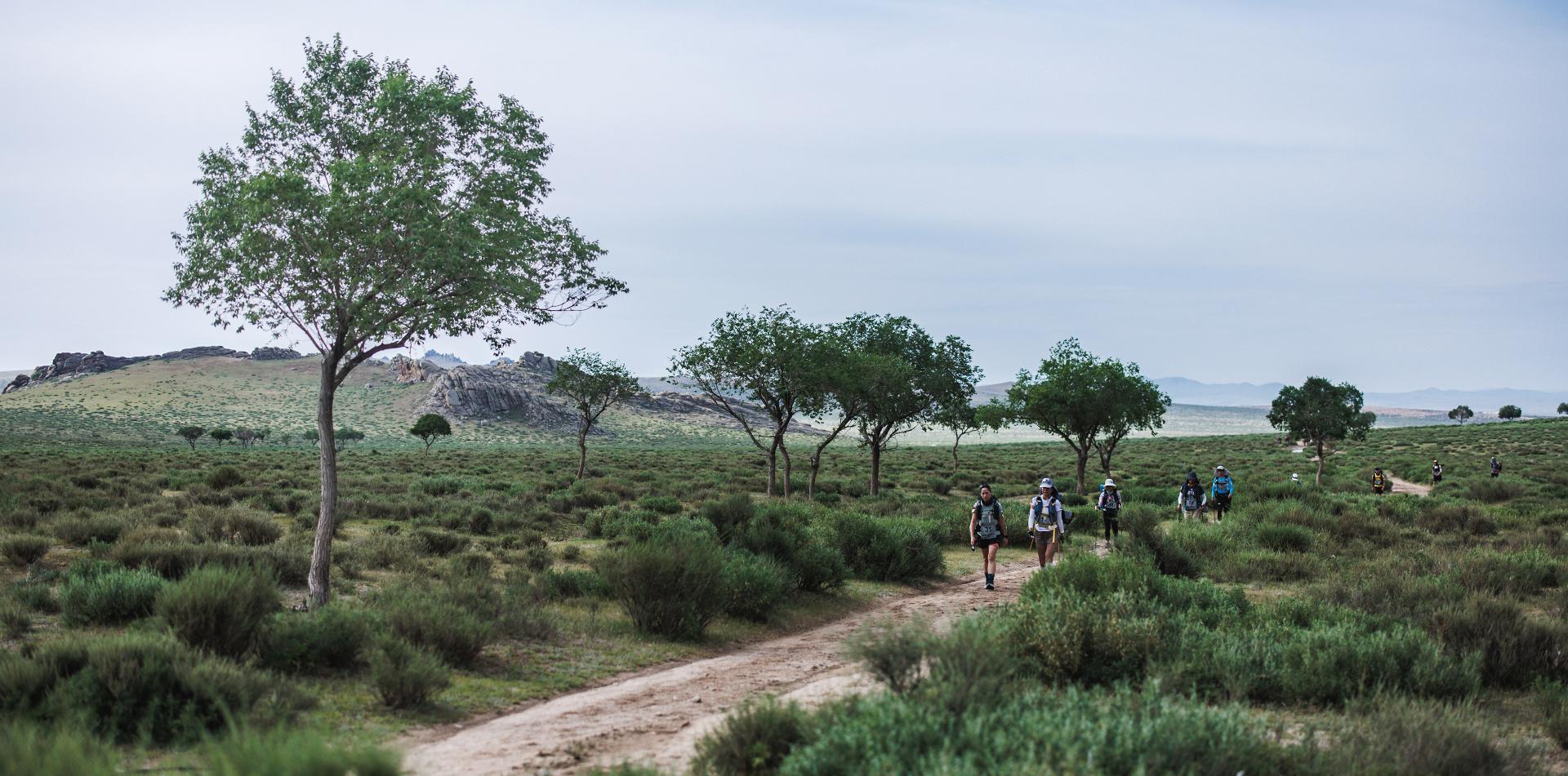 
GOBI MARCH (MONGOLIA)  250 KM / 155-MILE, 6-STAGE ULTRAMARATHON
21-27 June 2026
