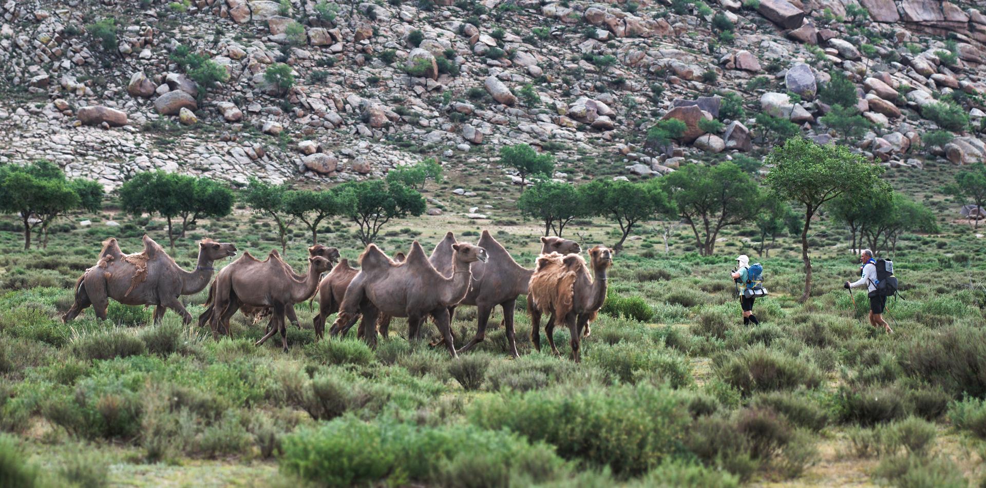 
GOBI MARCH (MONGOLIA)  250 KM / 155-MILE, 6-STAGE ULTRAMARATHON
21-27 June 2026
