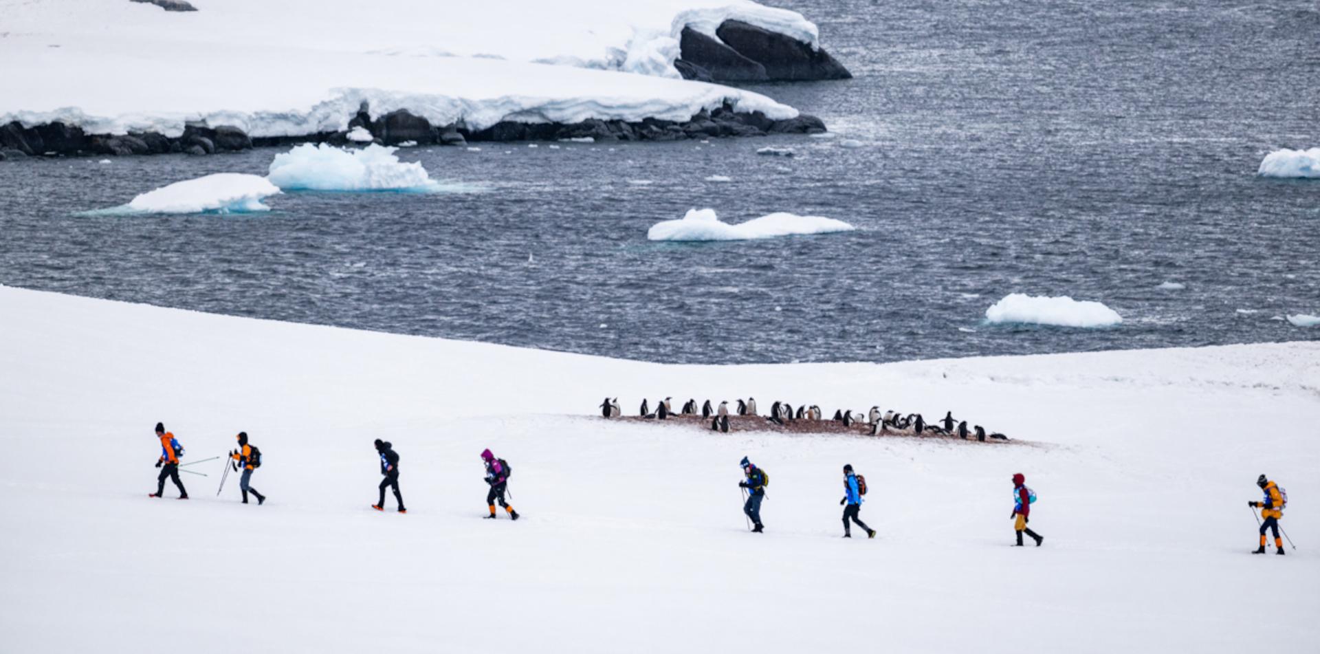 
THE LAST DESERT (ANTARCTICA) ANTARCTICA'S ONLY MULTI-STAGE FOOTRACE
ANTARCTICA ULTRAMARATHON
ULTRALITE (ANTARCTICA)
13 November 2026
