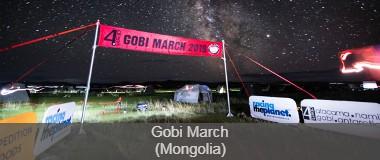 Gobimarch